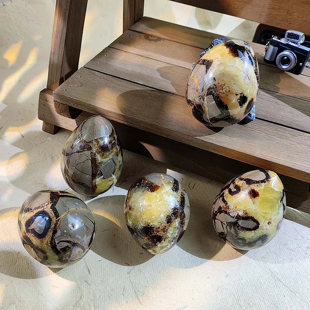 Natural Stones Dragon Septarian Eggs Shaped Crystals Stones Rieki Altars Witchcraft Supplies Home Room Decor Hand Carved Gifts