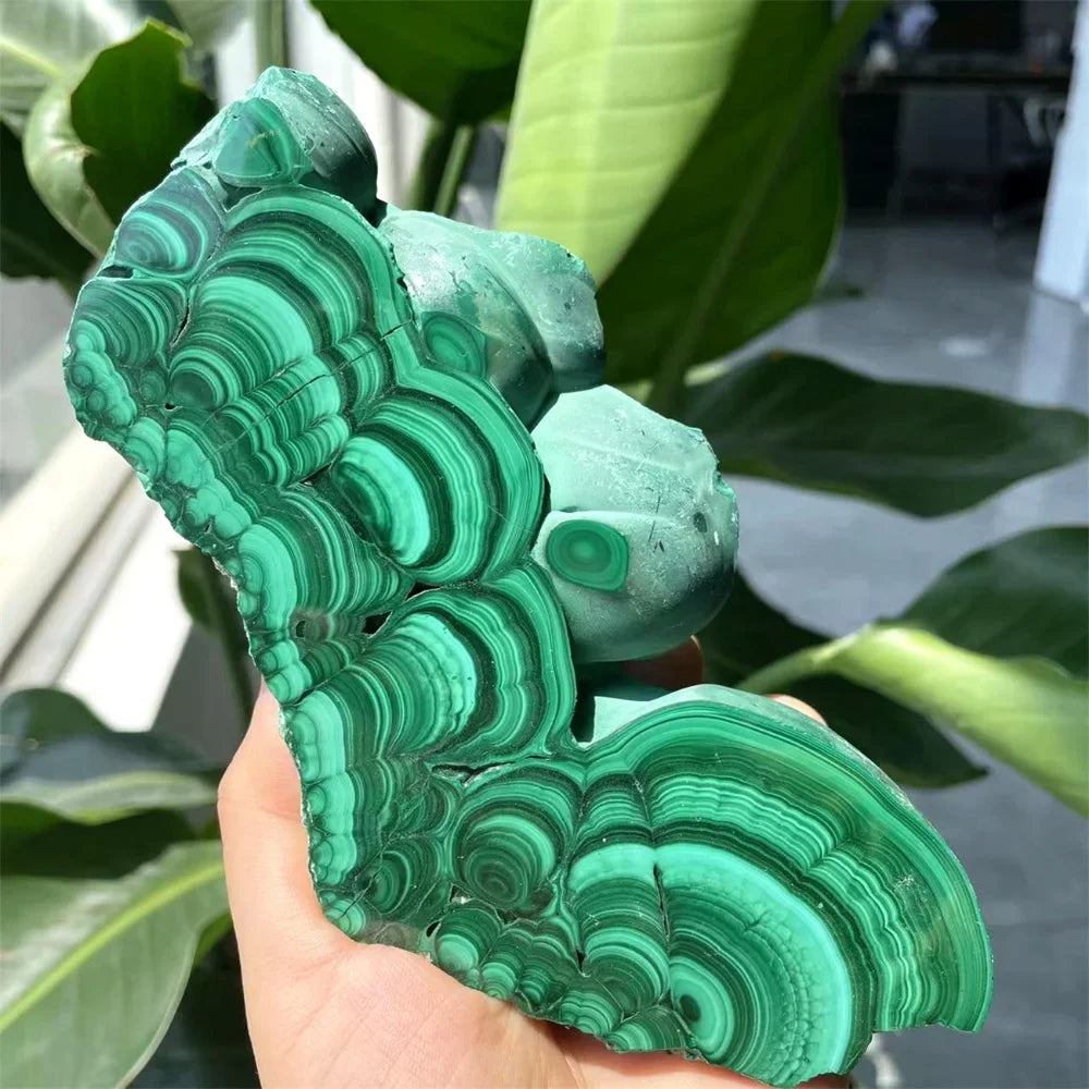 Natural Gemstone Crystal Plate Malachite Stone Home Spirit Decoration and Witchcraft Altar Magic Crystal Rune Healing 1pc