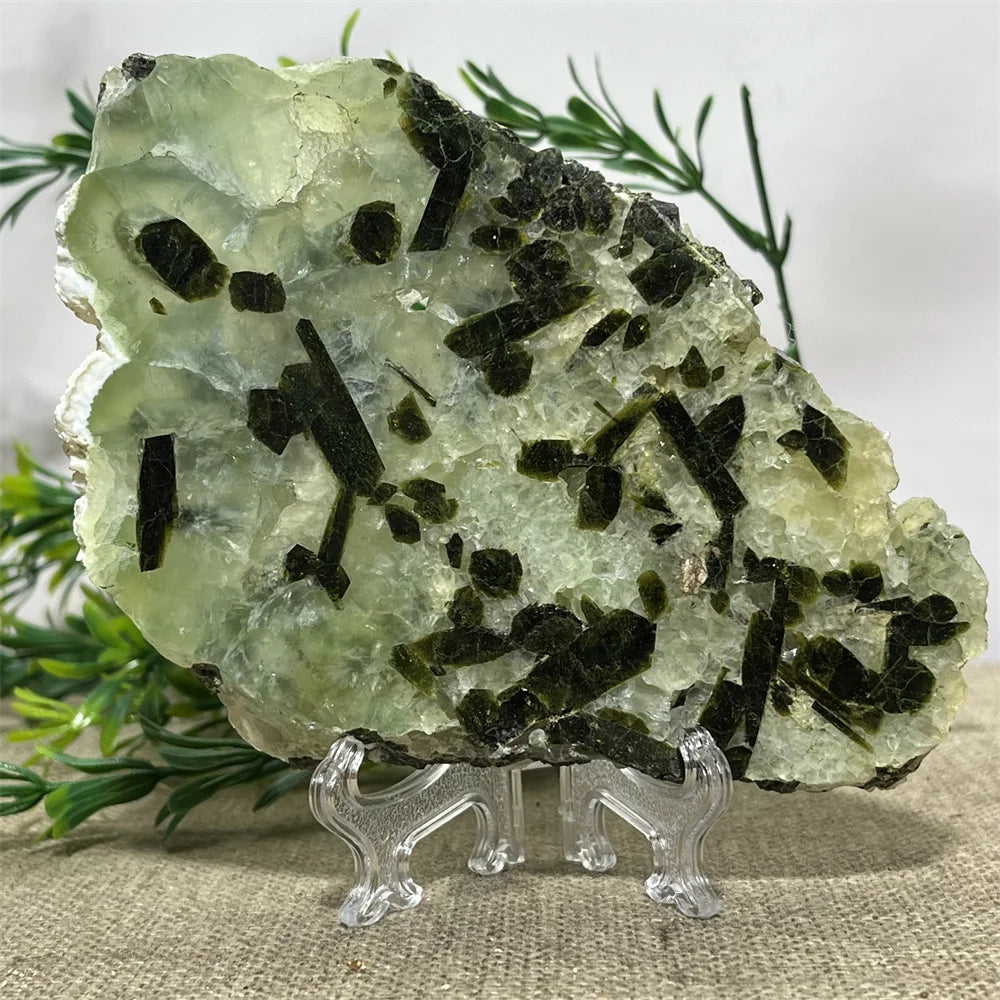Crystal Natural Prehnite Slab Specimen Stone Quartz Minerals Energy Feng Shui Healing Spiritual Reiki Home Decoration+Stand