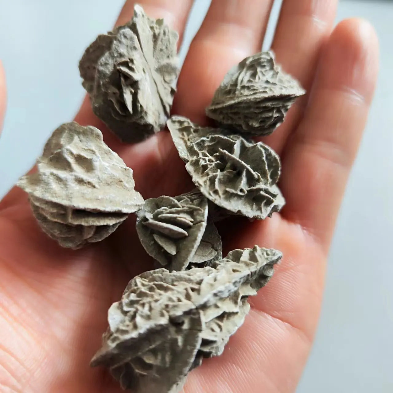 Natural Works Desert Rose Stone Home Decoration Stone Mineral Specimen Raw Stone Collection Teaching Specimens Reiki Healing Gem