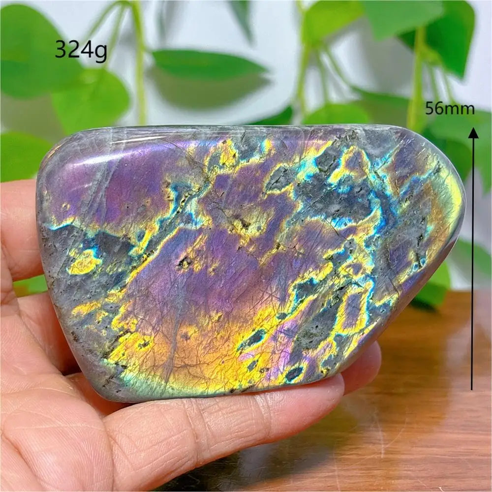 S2844fb44818b4f4583691fa3a9bebbbcj