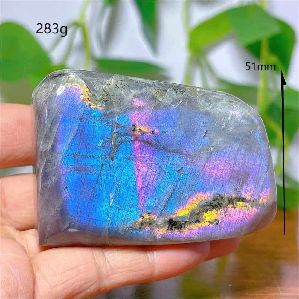 S5fbba6d8e48a4eef85ff68ff2893d1f93