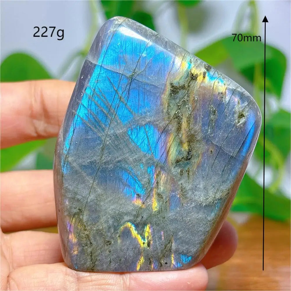 S63bee88d340f4ffcad1f503d5b082f160