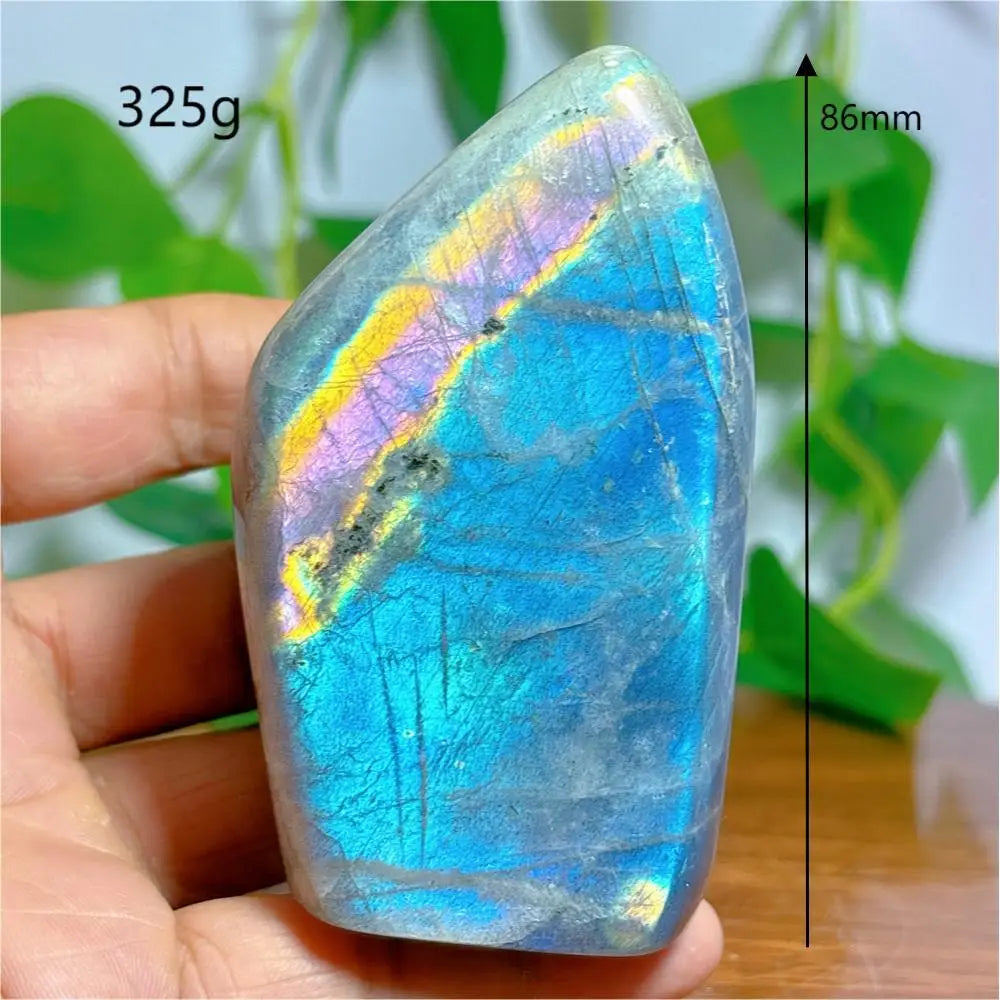 S8f770ab6410742618aff4119c065ea17S