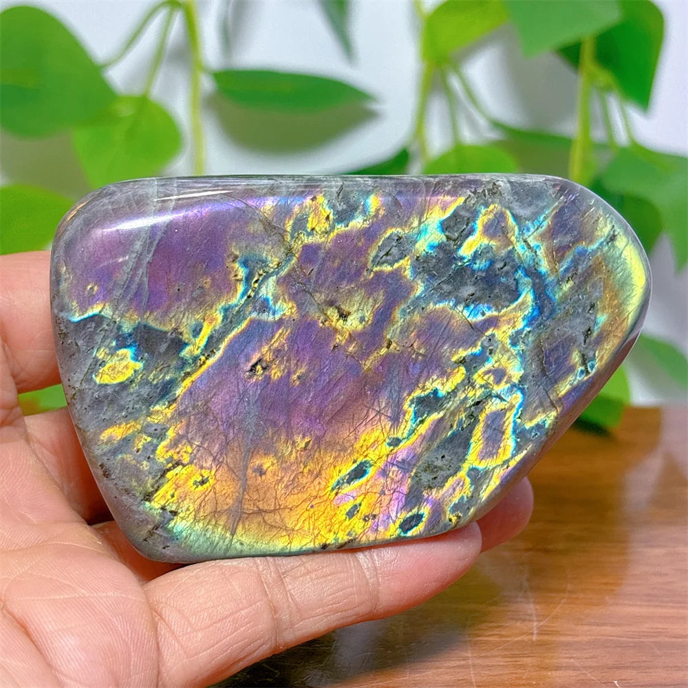 Purple Labradorite Free Form Crystal Natural Quartz Stone Home Decoration Craft Gifts Reiki Energy Healing Spiritual Garden