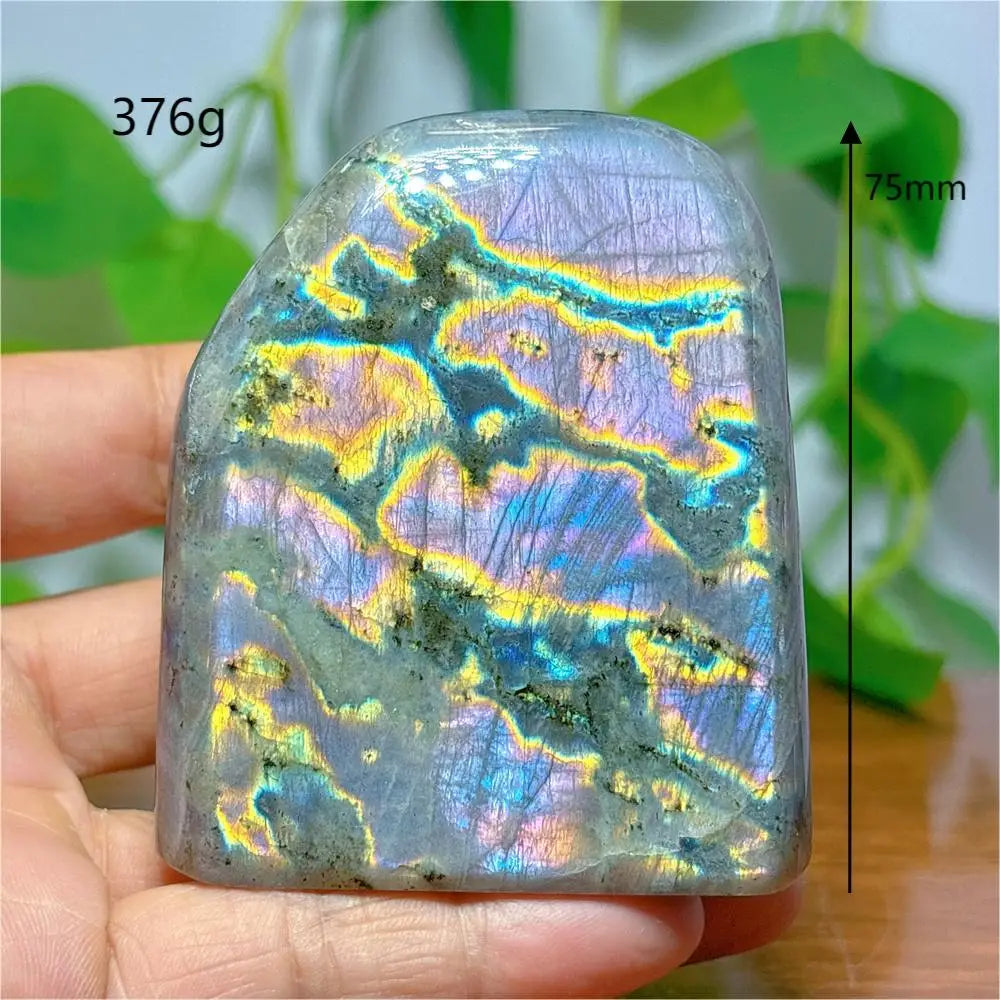 Scc51a0e9173b4a2db70d3a9200ba694aV